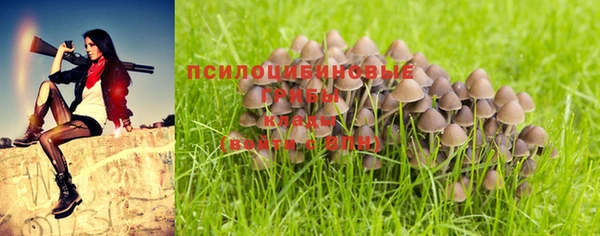 ALPHA-PVP Михайловск
