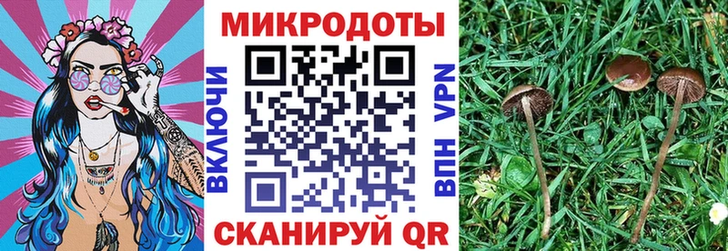 Псилоцибиновые грибы ЛСД  Южноуральск 
